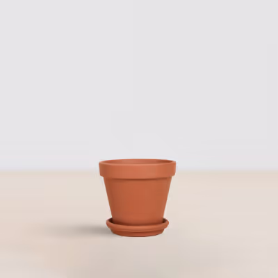Current Pot
