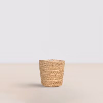 pot